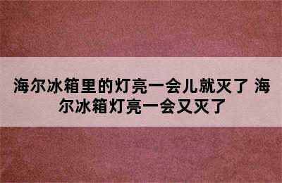 海尔冰箱里的灯亮一会儿就灭了 海尔冰箱灯亮一会又灭了